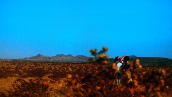 e0039879_0323924.jpg