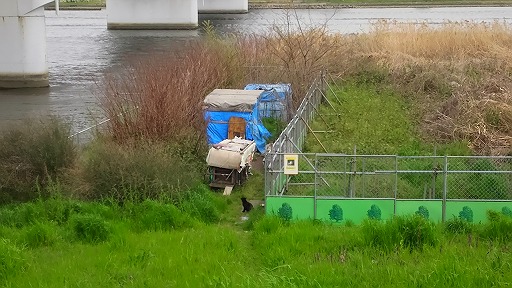 e0020682_1293375.jpg