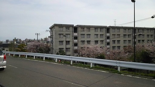 e0020682_1482651.jpg