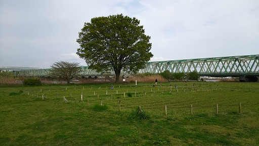 e0020682_149473.jpg