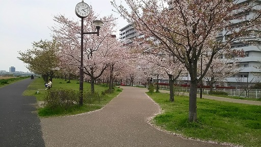 e0020682_1524138.jpg