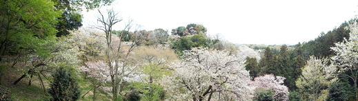 e0145782_20314498.jpg