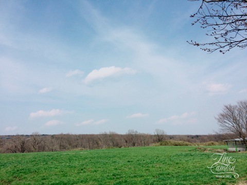 b0090883_17403143.jpeg