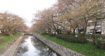 f0003283_08010390.jpg