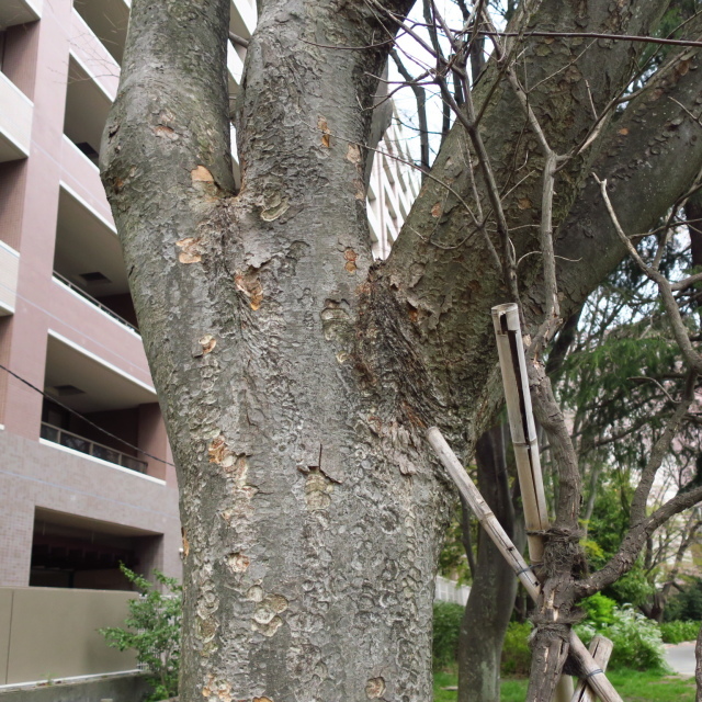 f0100593_18142527.jpg