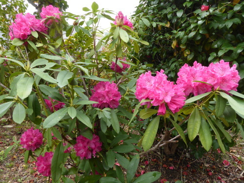 b0321595_09281514.jpg