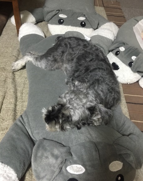 b0188998_23471606.jpeg