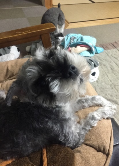 b0188998_23472958.jpeg