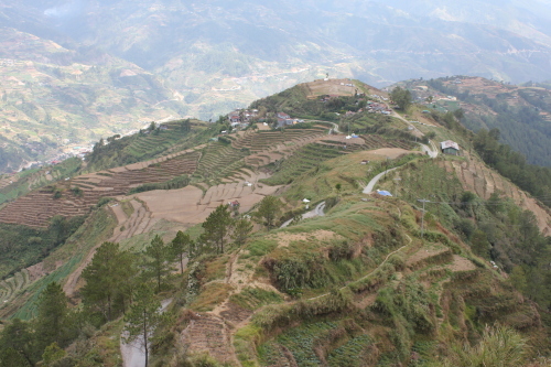 b0128901_16233328.jpg