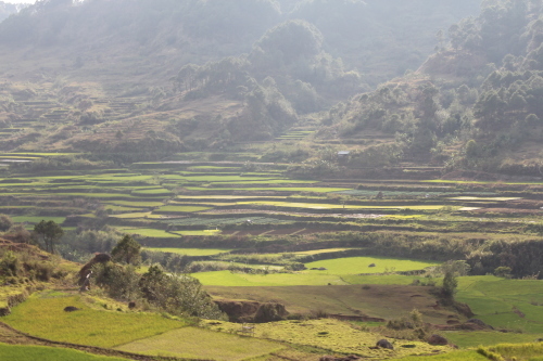 b0128901_16281846.jpg