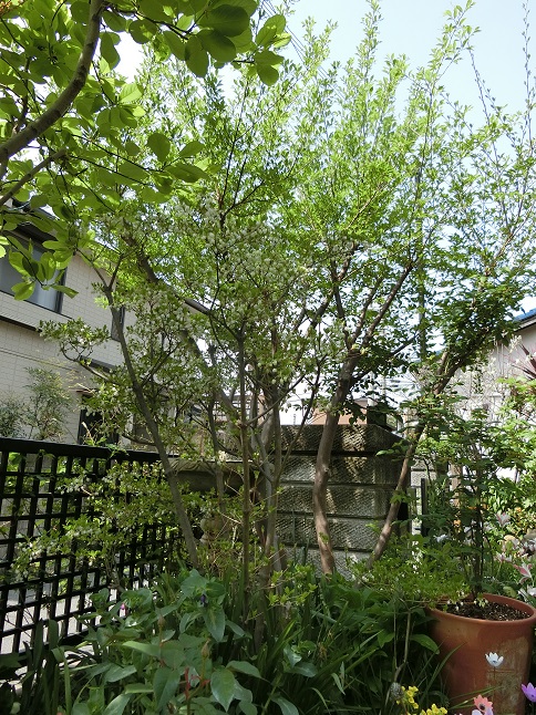 e0234004_21483960.jpg