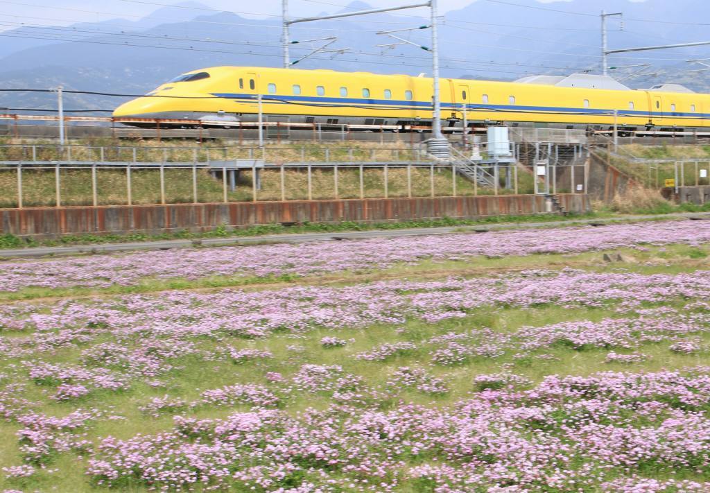 a0188405_16583522.jpg