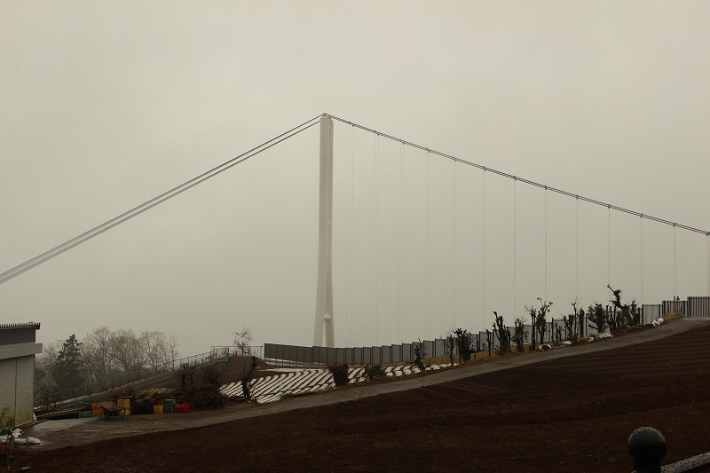 f0039907_12582175.jpg