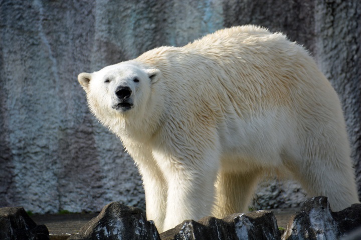 a0151913_23352914.jpg