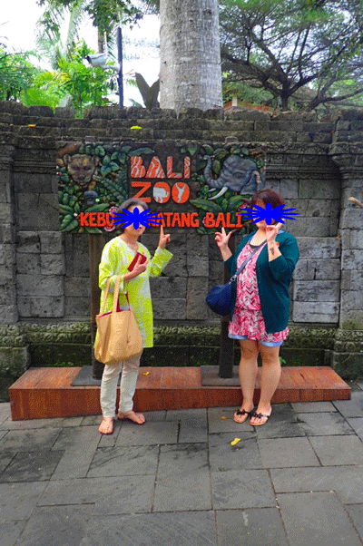 e0020214_123348.gif