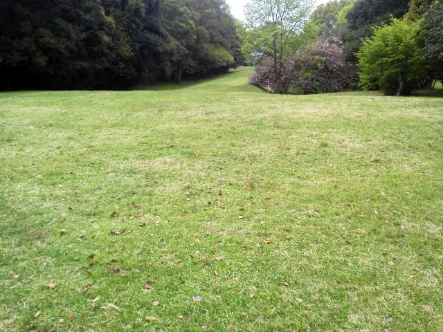 e0114015_1285292.jpg
