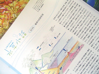 d0212519_2314390.jpg