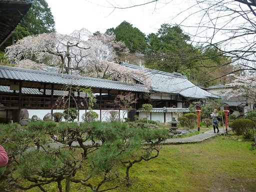 f0000521_04100827.jpg