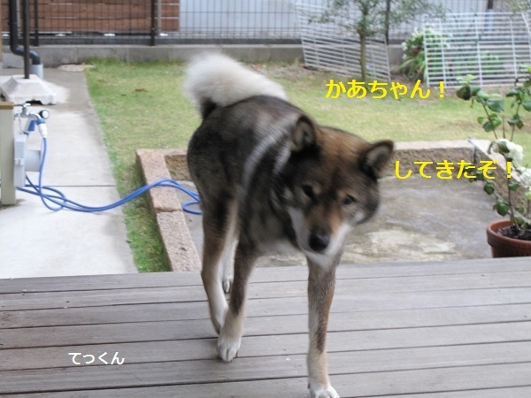 f0143123_09124614.jpg
