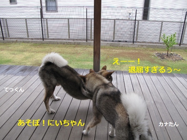 f0143123_09143869.jpg