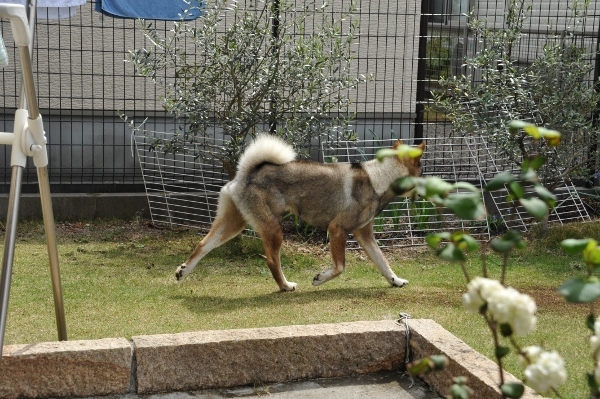 f0143123_10465610.jpg