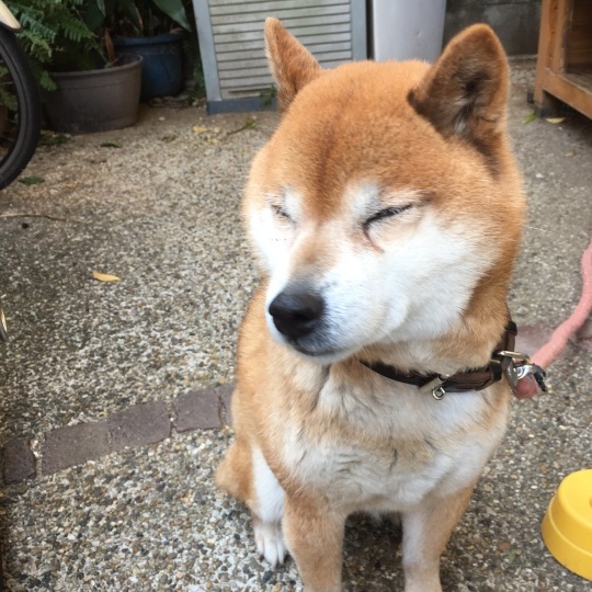 d0336226_09023149.jpeg