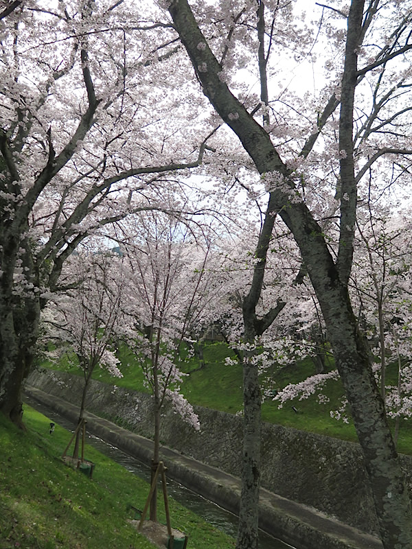 d0352628_10121354.jpg