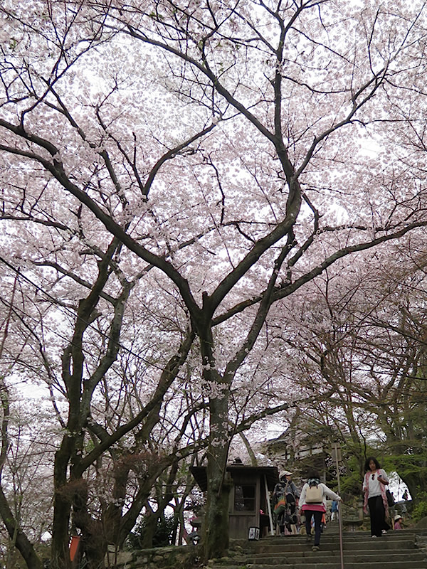 d0352628_11204167.jpg