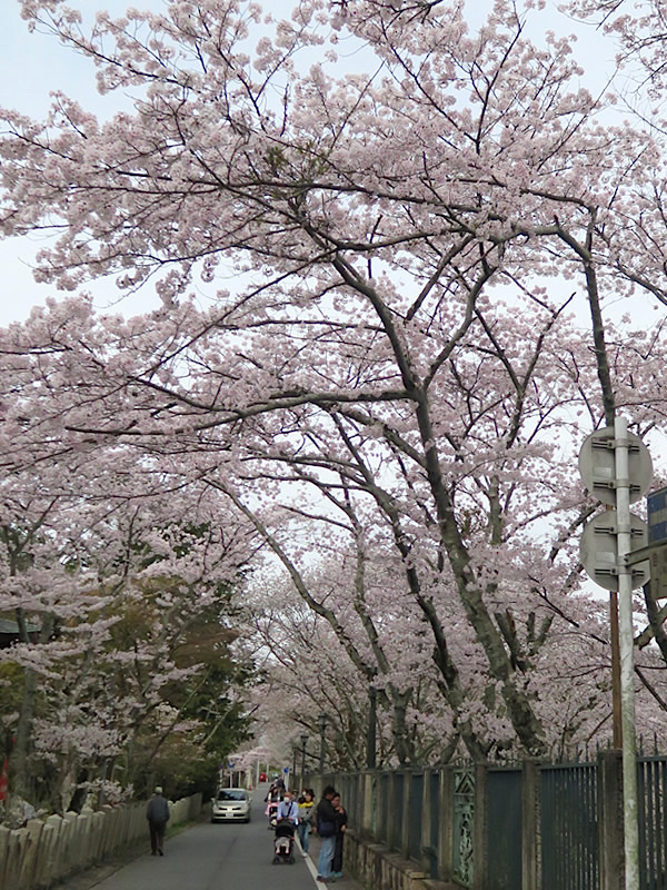 d0352628_11473772.jpg