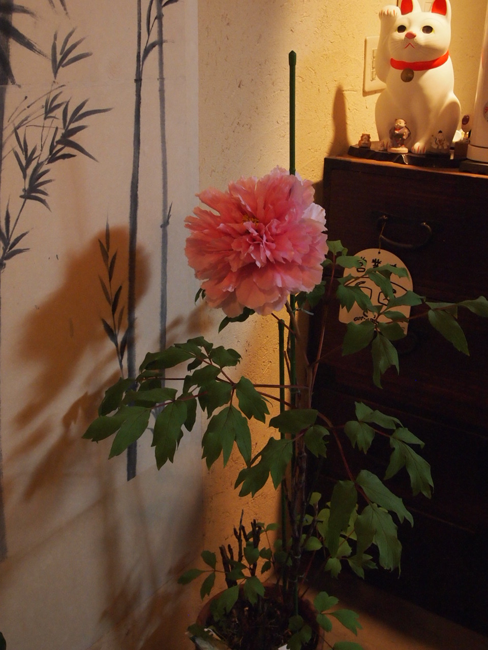 a0214329_933179.jpg