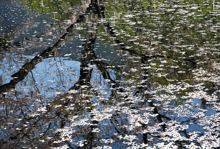 d0147530_08470790.jpg