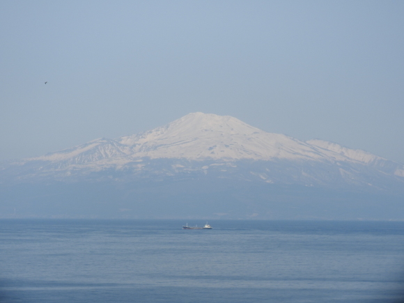 f0118332_00284721.jpg