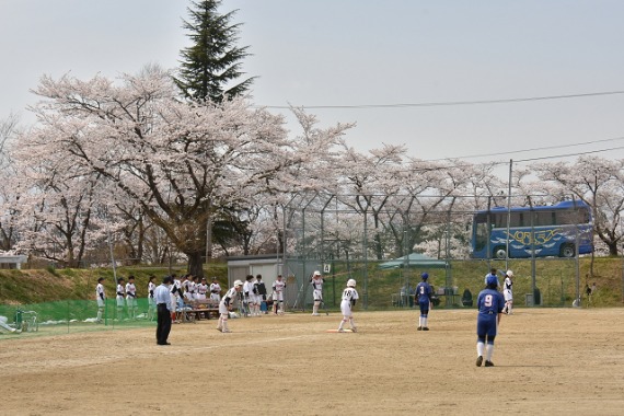 b0249247_1436289.jpg