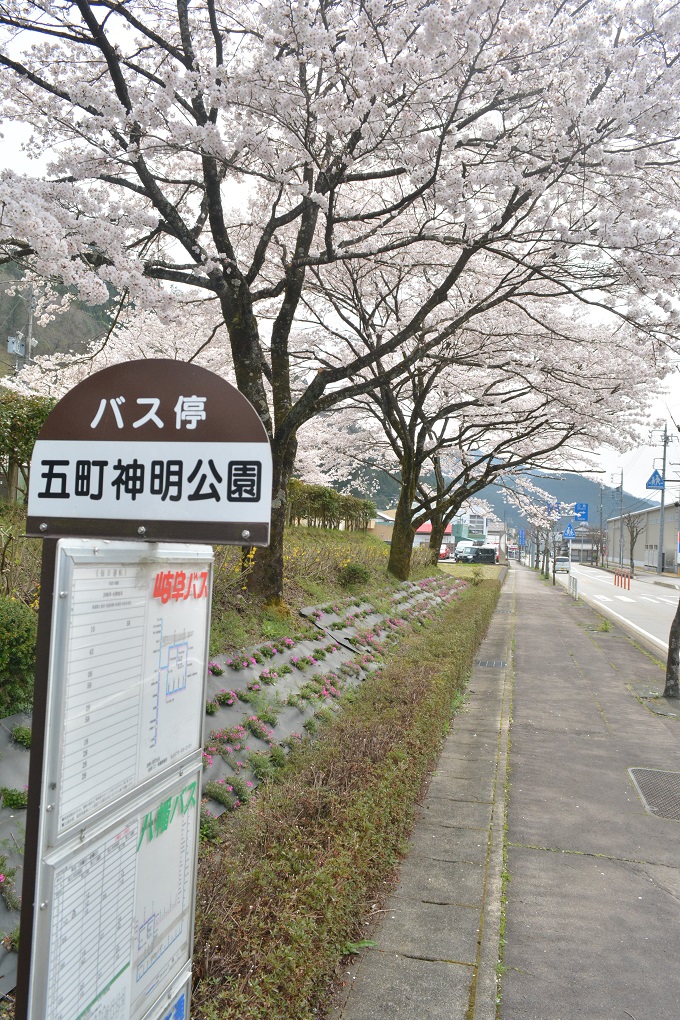 a0055650_1872237.jpg