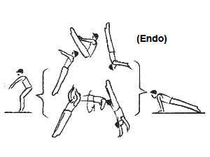 e0303850_203385.png