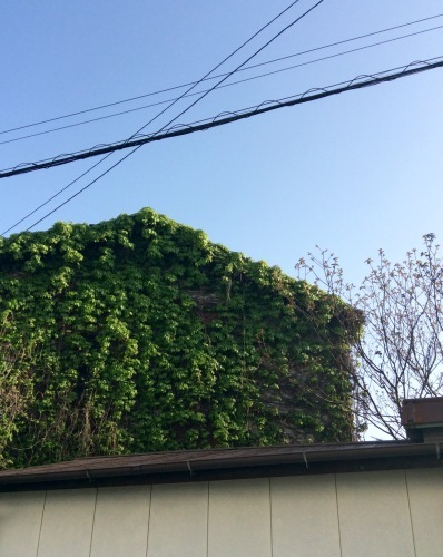 c0340351_17233032.jpeg
