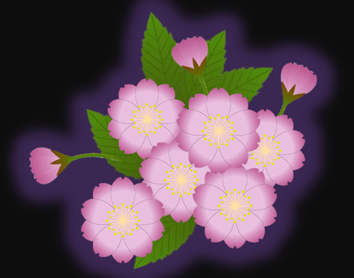 b0133752_232747.png