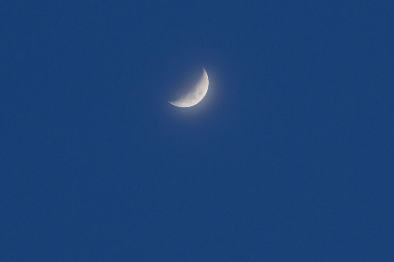 d0342652_10544952.jpg