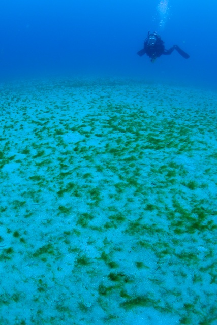 b0062363_1944868.jpg