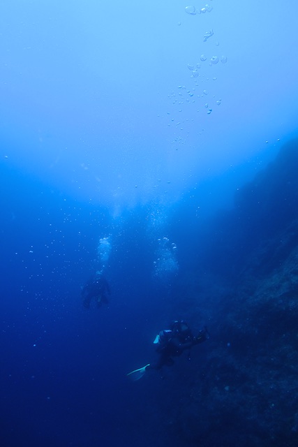 b0062363_1945251.jpg