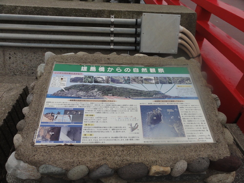 d0029363_10294046.jpg