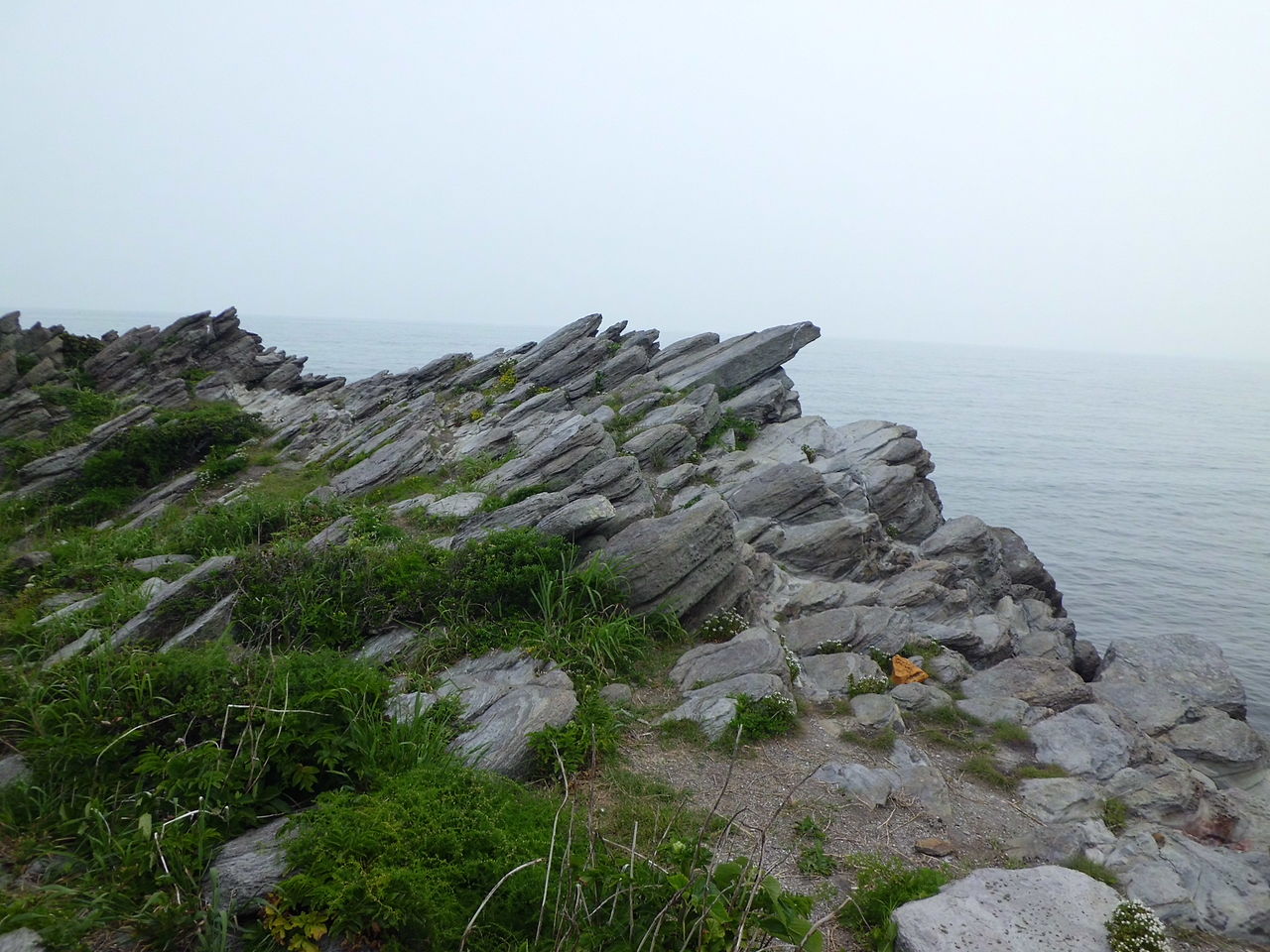 d0029363_11194533.jpg