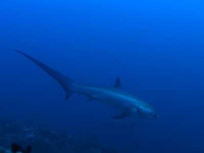 e0184067_18331537.jpg