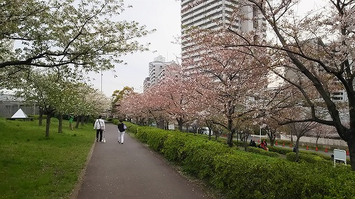 e0020682_17105769.jpg