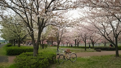 e0020682_1710959.jpg
