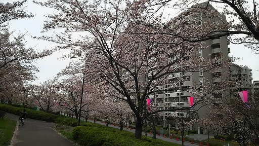 e0020682_17115912.jpg