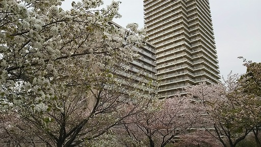 e0020682_1714445.jpg