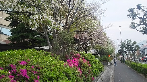 e0020682_17451991.jpg