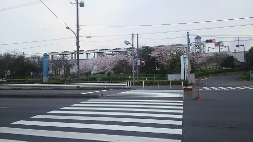 e0020682_17522229.jpg