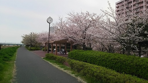 e0020682_1791963.jpg